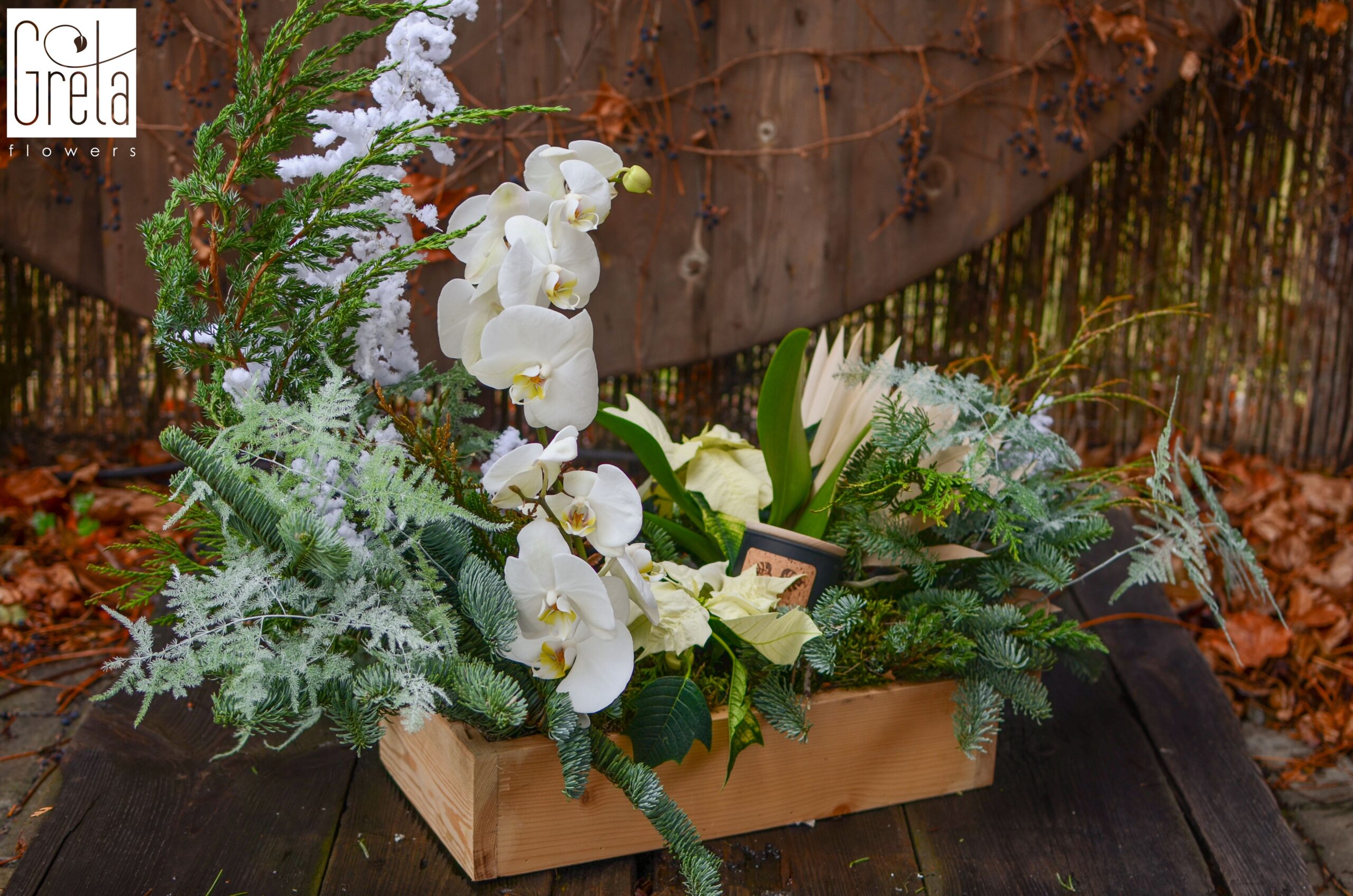 świąteczny flowerbox w 90 minut online, kurs tworzenia flowerbox&oacute;w świątecznych, flowerboxy z żywych kwiat&oacute;w, flowerboxy ze sztucznych kwiat&oacute;w, dekoracje świąteczne florystyczne, kompozycje flowerbox świąteczne, jak zrobić flowerbox świąteczny, flowerbox DIY, flowerbox krok po kroku, inspiracje flowerbox świąteczne, zasady tworzenia flowerbox&oacute;w, planowanie dekoracji świątecznych kurs, kurs flowerbox&oacute;w świątecznych online Polska, flowerboxy handmade, pomysły na flowerbox świąteczny, GretaFlowers flowerbox świąteczny, akademia florystyczna online, szkolenie florystyczne online Polska, florystyka od podstaw kurs, akademia gretaflowers, szkoła gretaflowers, kwiaciarnia gretaflowers Bor&oacute;wiec, Katarzyna Greta Grondkowska